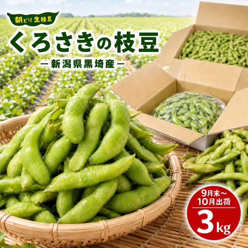 【9月末～発送開始】枝豆 3kg 朝採り新潟県黒埼産 枝豆