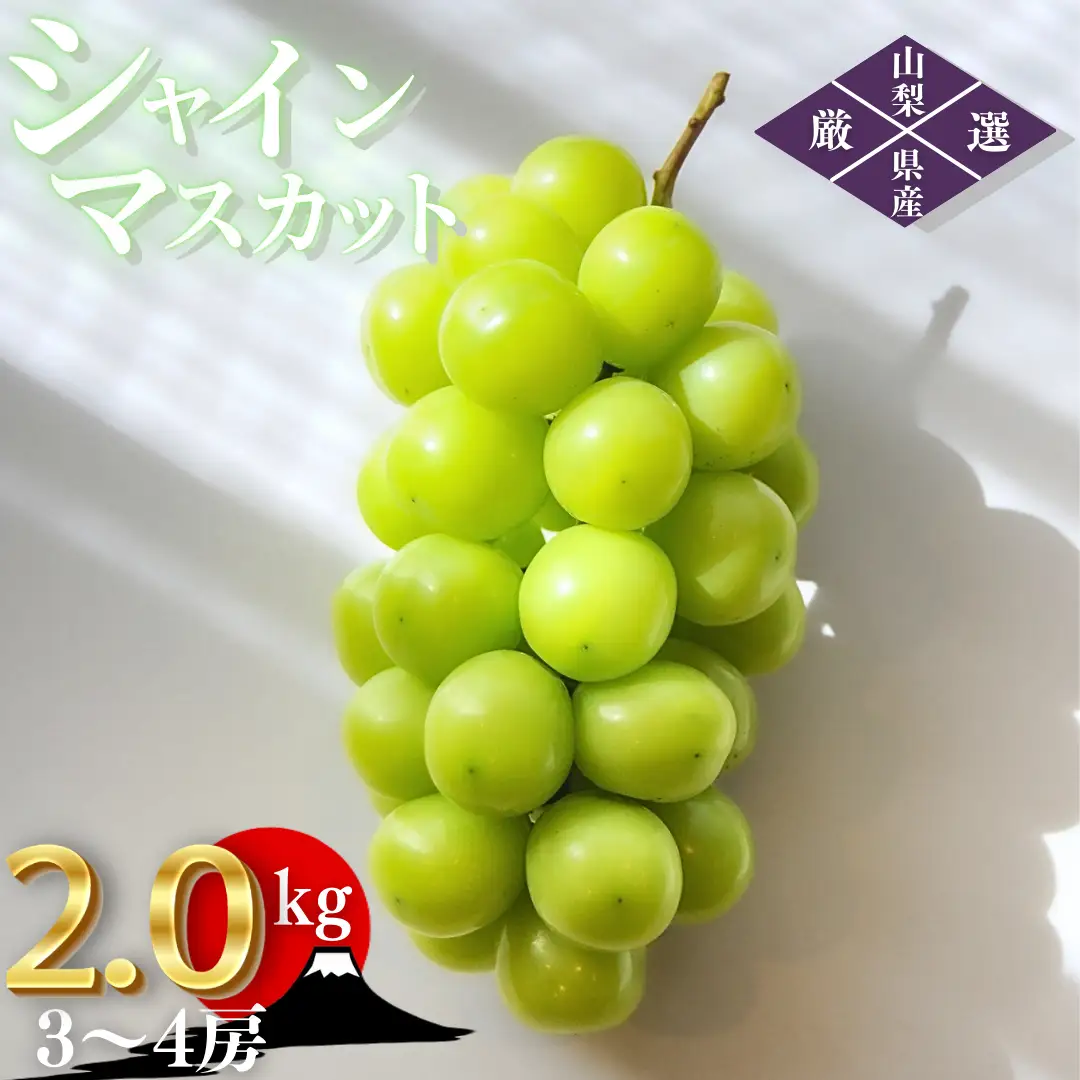 【2026年発送★先行予約】笛吹市産　厳選シャインマスカット［2.0kg］（3～4房）フルーツ大国！山梨県笛吹市より産地直送 209-005-26y OUTTA REACH JAPAN