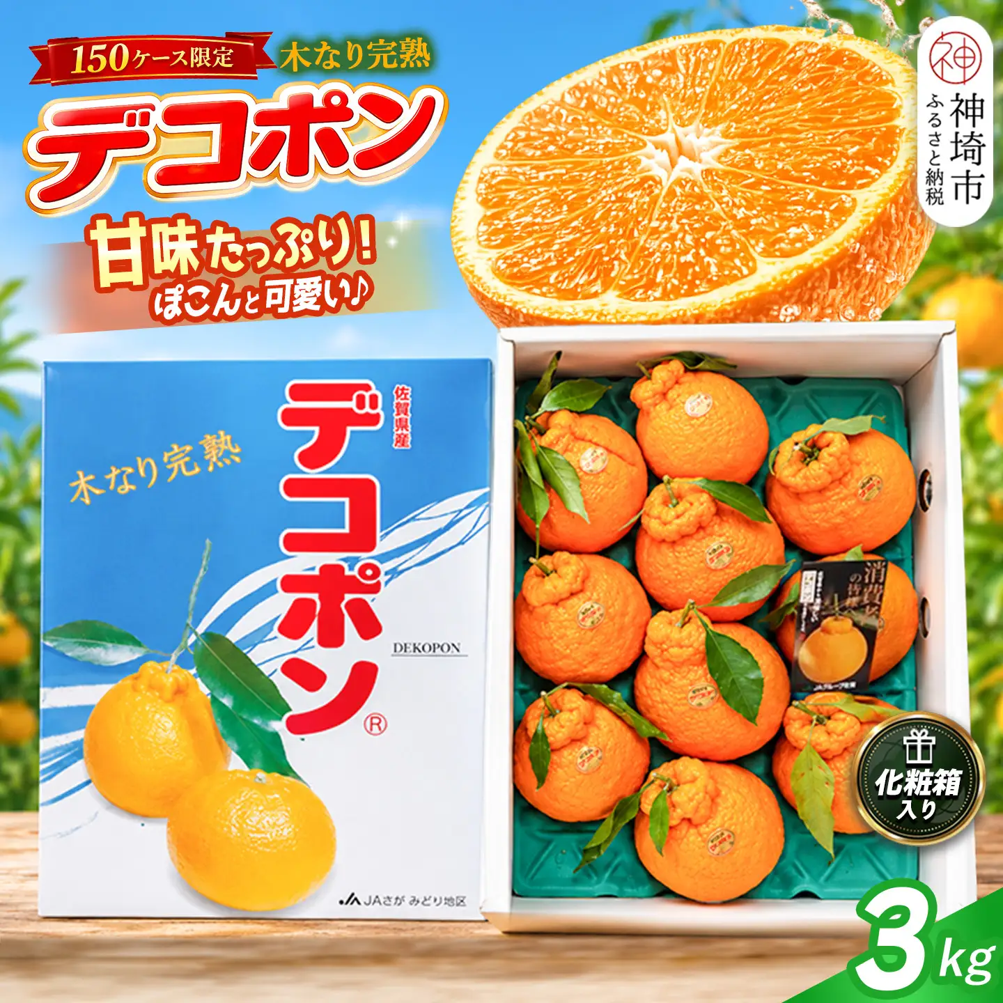 【2027年3月中旬より発送開始】【木なり完熟】デコポン 3kg 150ケース限定(H116148)