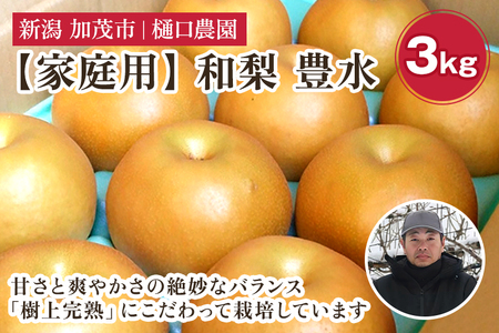【2026年先行予約】【家庭用】和梨 豊水 3kg（6〜9玉）《9月上旬から順次発送》 ほうすい 梨
