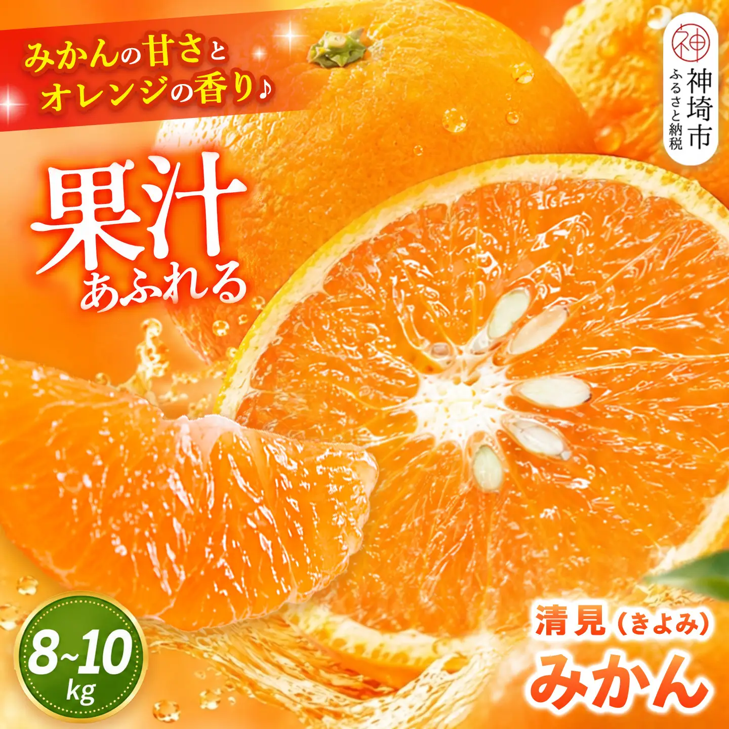 【2027年3月中旬より発送開始】清見(きよみ)みかん 8kg～10kg(H116139)