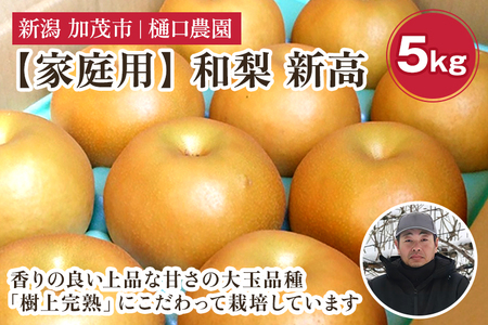 【2026年先行予約】【家庭用】和梨 新高 5kg（5～9玉）《10月上旬から順次発送》 にいたか 梨