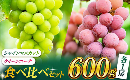 【2026年発送先行予約】食べ比べセット 約600g（シャインマスカット ＆ クイーンニーナ 各一房）【合同会社 社方園】[ZBZ036]