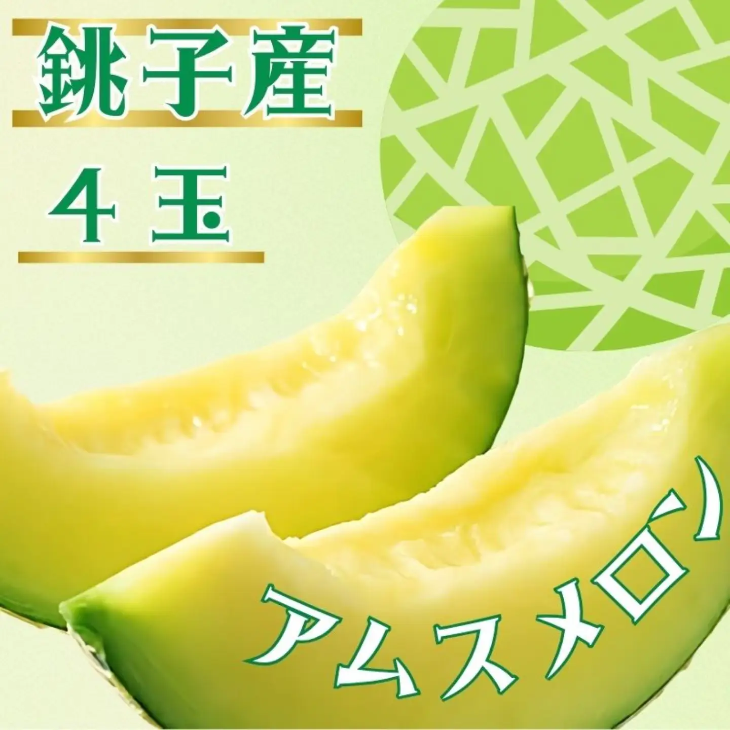 アムスメロン 4玉 メロン 【6月下旬〜7月中旬発送】