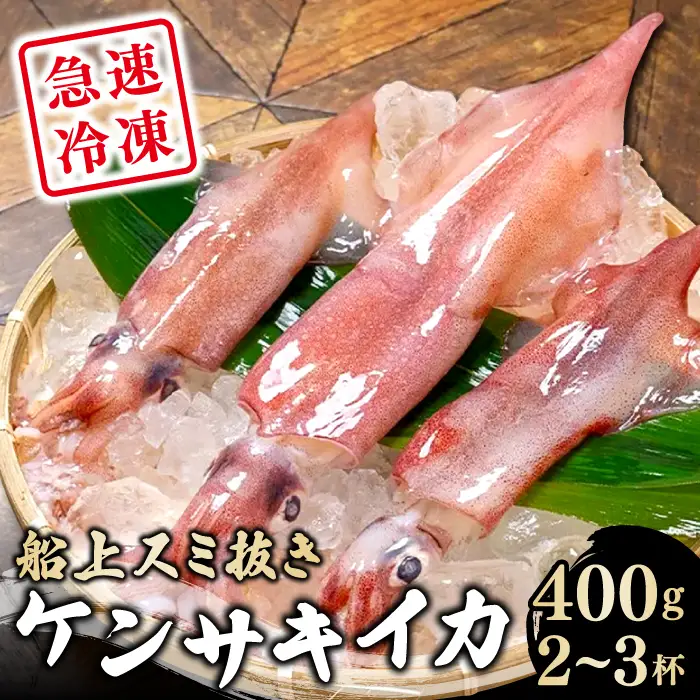 船上スミ抜きケンサキイカ 400g（2～3杯）【いか 剣先いか 400g 烏賊 イカ ケンサキイカ 贅沢 刺身 おかず おつまみ お酒 冷凍 地物 天然物 新鮮 真空パック 旨い 海産物 魚介類 獲れたて】