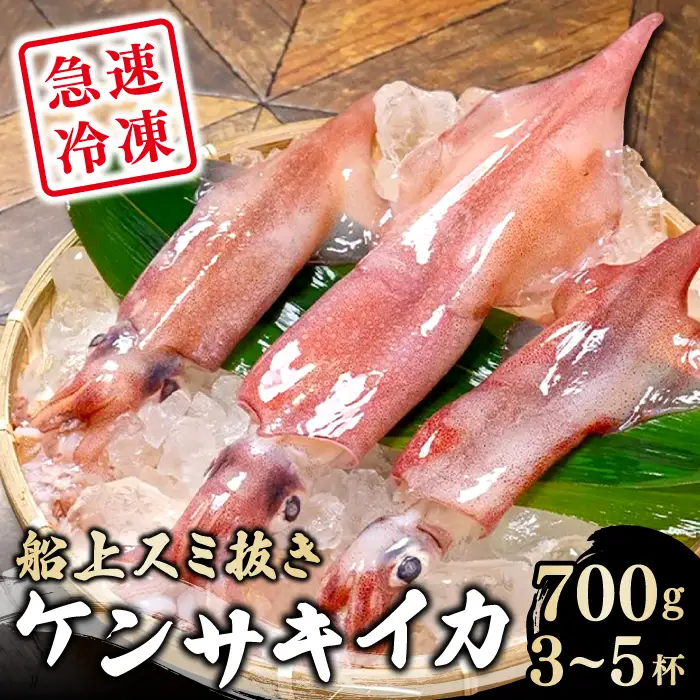 船上スミ抜きケンサキイカ 700g以上（3～5杯）【いか 剣先いか 700g以上 烏賊 イカ ケンサキイカ 贅沢 刺身 おかず おつまみ お酒 冷凍 地物 天然物 新鮮 真空パック 旨い 海産物 魚介類 獲れたて】