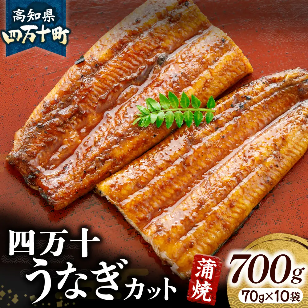 四万十うなぎ 蒲焼カット 700g（70g×10袋）うなぎ 国産鰻 土用の丑の日 Esu-204