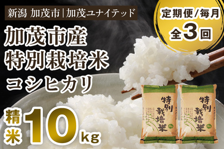 【令和8年産新米先行予約】【定期便3ヶ月毎月お届け】加茂市産 特別栽培米 コシヒカリ 精米10kg 《10月上旬～順次出荷》《順次出荷》 栽培期間中は化学肥料・農薬不使用 新潟米 お米 白米 こしひかり 加茂ユナイテッド 
