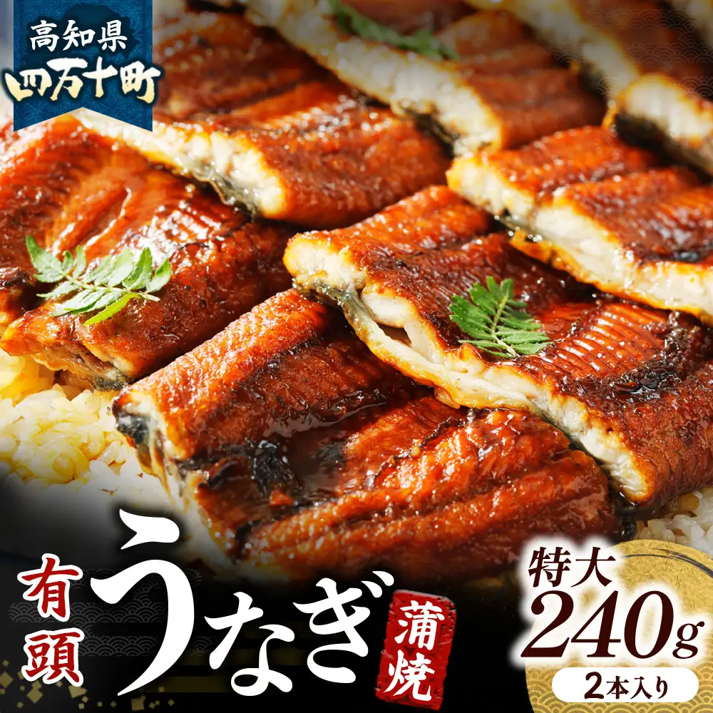 【有頭】四万十うなぎ 蒲焼 特大（240g×2本） うなぎ 国産鰻 土用の丑の日 Esu-205