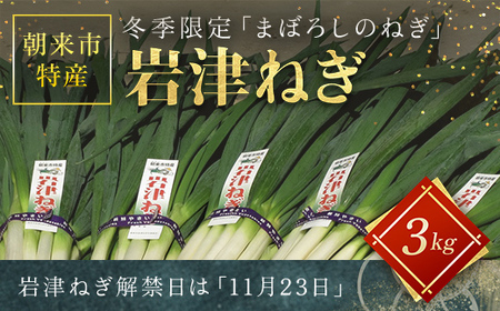 【ふるさと納税】朝来市特産「岩津ねぎ」3kg（箱入り） ■道の駅 但馬のまほろば産直の会がお届けする冬季限定「まぼろしのねぎ」ねぎ ネギ 葱 岩津ねぎ 岩津ネギ 長ネギ 長ねぎ 長葱 兵庫県 朝来市 AS1BD2