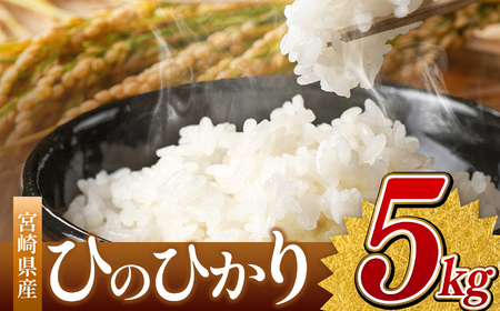 令和7年産 ひのひかり 5kg ( 白米 ) 宮崎県産
