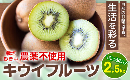 キウイフルーツ 2.5kg ゆいやわす《11月上旬-4月末頃出荷》