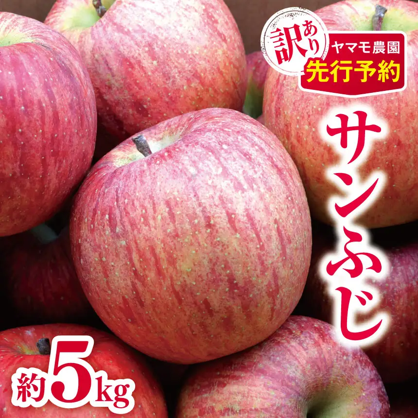 訳あり サンふじ 約5kg 【2026年先行予約】 | ヤマモ農園
