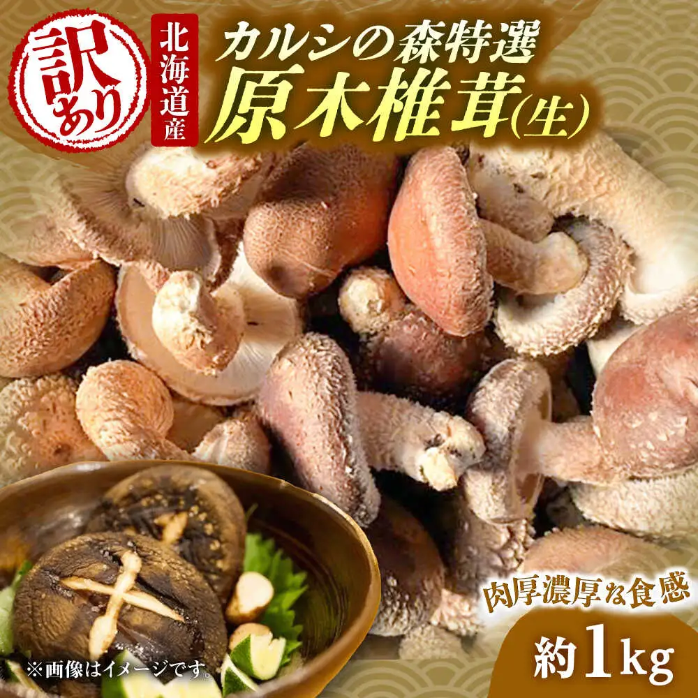 【訳あり】原木 生しいたけ 約1kg しいたけ [BNAU005]