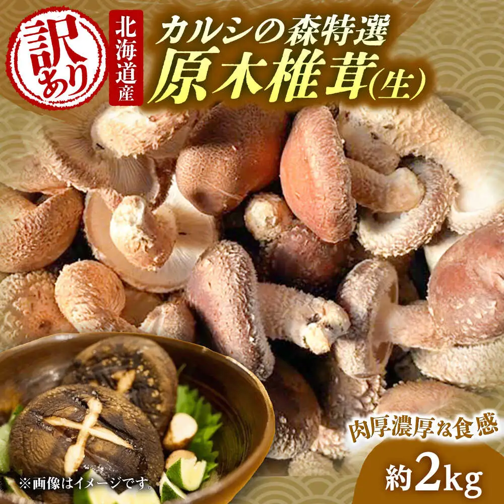 【訳あり】原木 生しいたけ 約2kg | 合同会社カルシ [BNAU006]