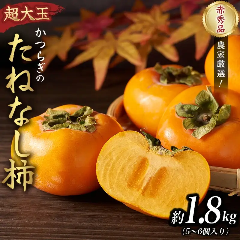 【2026年先行予約】種無し柿 早生刀根柿 1.8kg 2026年9月下旬～10月下旬頃に順次発送予定（お届け日指定不可）/ 和歌山 柿 かき フルーツ 果物 くだもの 刀根 種無し【kgr003A】
