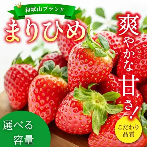 【先行予約】まりひめ いちご 12粒～15粒入り×2パック（500g）2027年1月中旬?3月下旬頃に順次発送予定（お届け日指定不可）/ いちご 苺 まりひめ 和歌山 フルーツ 果物 くだもの【kgr007B】