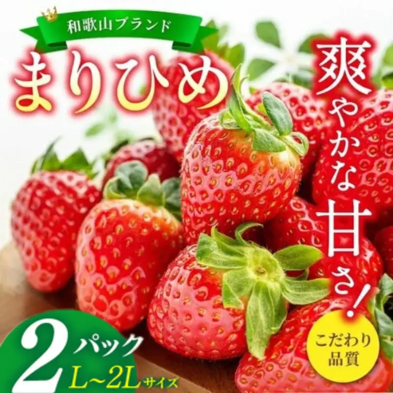 【先行予約】まりひめ いちご 12粒～15粒入り×4パック（1kg）2027年1月中旬?3月下旬頃に順次発送予定（お届け日指定不可）/ いちご 苺 まりひめ 和歌山 フルーツ 果物 くだもの【kgr008B】