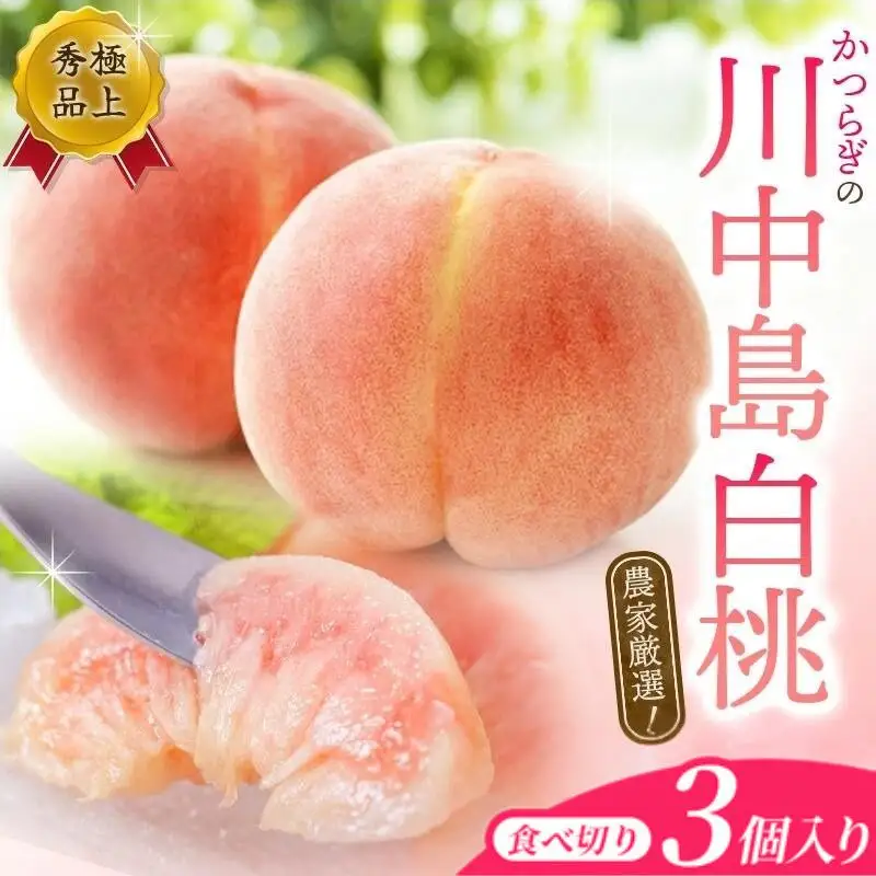 桃 和歌山の川中島白桃 [大玉特秀品] 嬉しい食べきり3玉【2027年7月下旬から8月下旬順次発送】（お届け日指定不可）【kgr012】