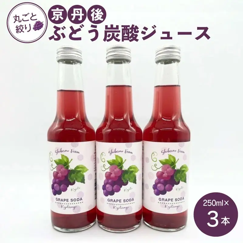 京丹後のぶどう炭酸ジュース（ソーダ） 小瓶3本入り（2026年11月中旬～発送）京丹後 ぶどう 葡萄 炭酸ジュース ソーダ しばの 飲料 ジュース ふるさと納税 ぶどう ふるさと納税 ジュース