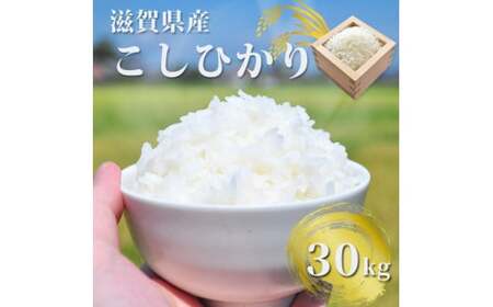ぎおん米コシヒカリ 30kg [先行予約] 株式会社TKS 滋賀県 東近江市 G-G02 米 白米 こしひかり 30キロ お取り寄せ 産地直送
