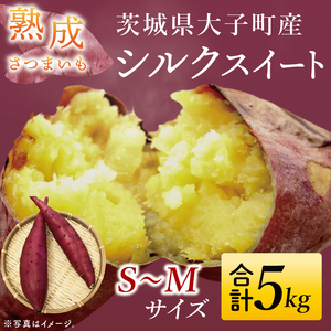 【先行予約】熟成さつまいも シルクスイート5kg【10月中旬より順次発送予定】｜茨城県 大子町 サツマイモ 芋 甘い ホクホク 野菜 数量限定 秋 旬 産地直送（CH003）