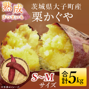 【先行予約】熟成さつまいも 栗かぐや 5kg【10月中旬より順次発送予定】｜茨城県 大子町 サツマイモ 芋 甘い ホクホク 野菜 数量限定 秋 旬 産地直送（CH004）