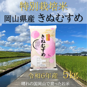 SS-128　【お米　特別栽培米　特Aランク】岡山県産「きぬむすめ」5kg（令和6年産）