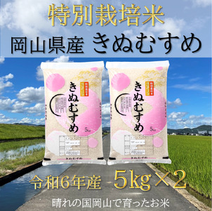 Cz-17　【お米　特別栽培米　特Aランク】岡山県産「きぬむすめ」10kg（令和6年産）
