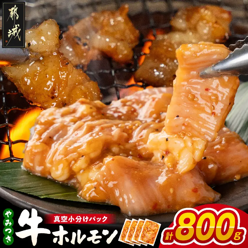 やみつき牛ホルモン800g!(真空小分け)〔LG8-3307〕_(都城市) 牛ホルモン 味付き 200g×4P 800g 小分け 真空パック