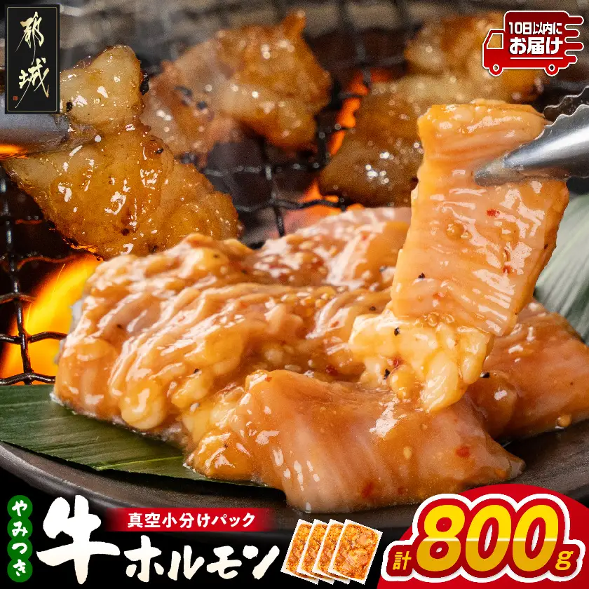 やみつき牛ホルモン800g!(真空小分け)≪みやこんじょ特急便≫〔LG8-3307-Q〕_(都城市) 牛ホルモン 味付き 200g×4P 800g 小分け 真空パック