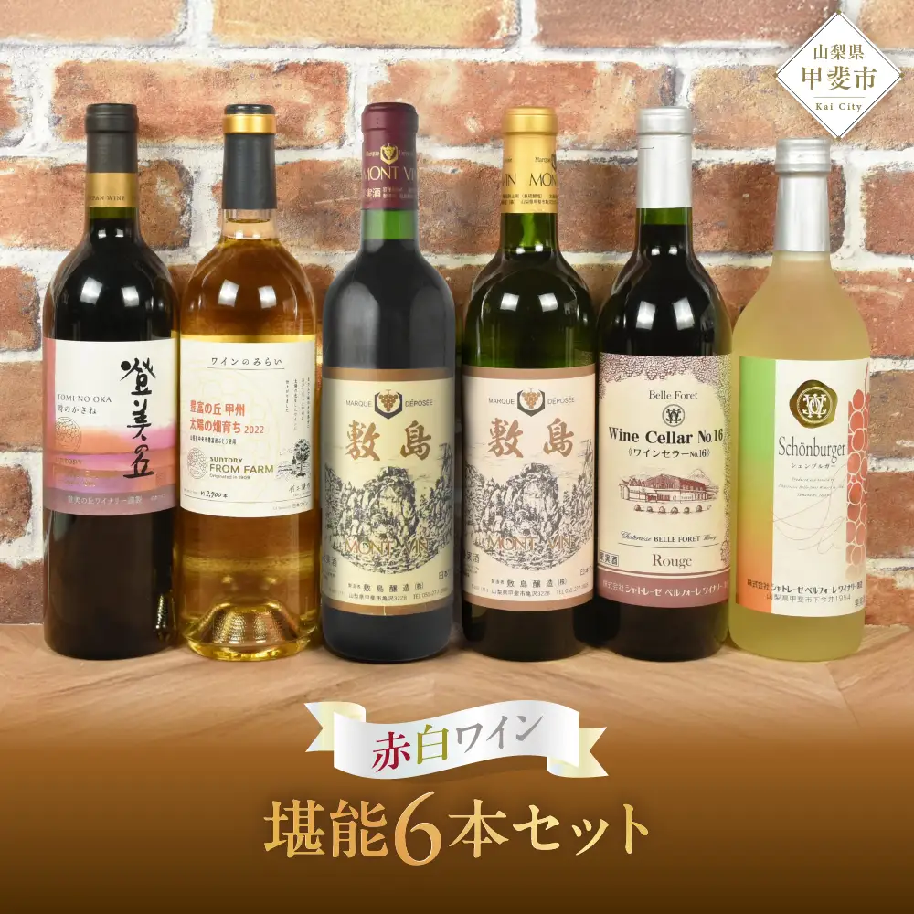 甲斐市ワインワイナリー堪能６本セット 山梨 ワイン 赤ワイン 白ワイン 甘口 辛口 飲み比べ 山梨県 甲斐市 AD-252