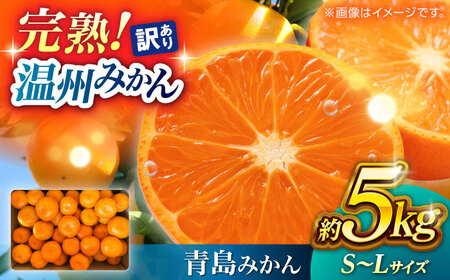 【先行予約】 訳あり 温州みかん 『青島』 約5kg S~Lサイズ 【奥村果実園】[ZFK001]