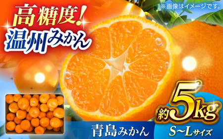 【先行予約】 温州みかん 『青島』 約5kg S~Lサイズ 【奥村果実園】[ZFK005]