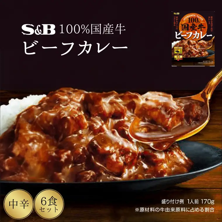 「S&B」国産牛ビーフカレー（中辛）170g×6個  SB ビーフカレー