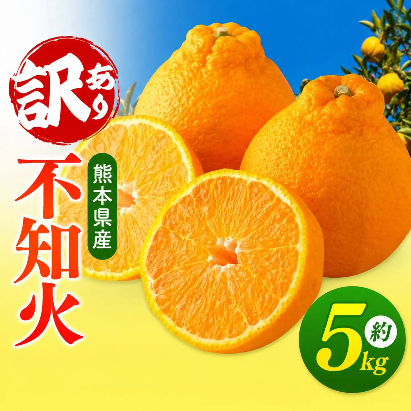 【 ご家庭用 訳あり 】 不知火 5kg