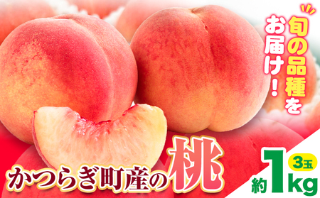 【先行予約】桃 かつらぎ町産桃 約1kg