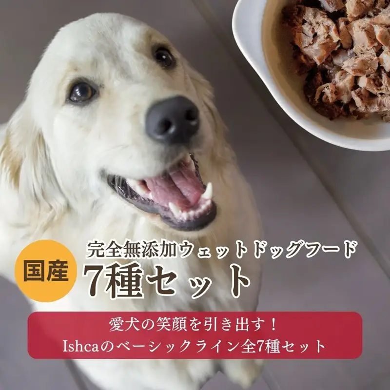 [無添加ウェットドッグフード] 7種セット ドッグフード