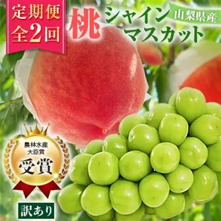 【発送月固定定期便】【訳アリ】山梨の桃とシャインマスカット全2回【配送不可地域：離島・沖縄県】【4063712】