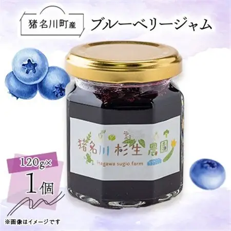 【猪名川町産】ブルーベリージャム　120g×1個【1587977】