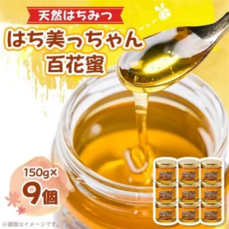 天然はちみつ「はち美っちゃん」　百花蜜　150g×9個【1590823】