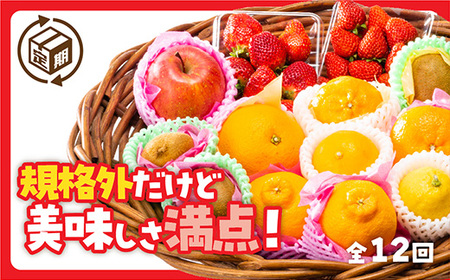 A086 規格外だけど美味しさ満点！エコ・フルーツアソートボックス定期便（12回）