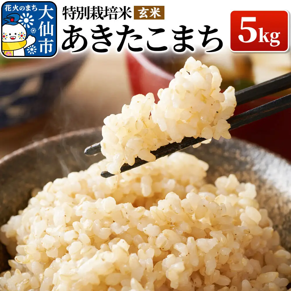 米 令和7年産【特別栽培米】あきたこまち【玄米】5kg