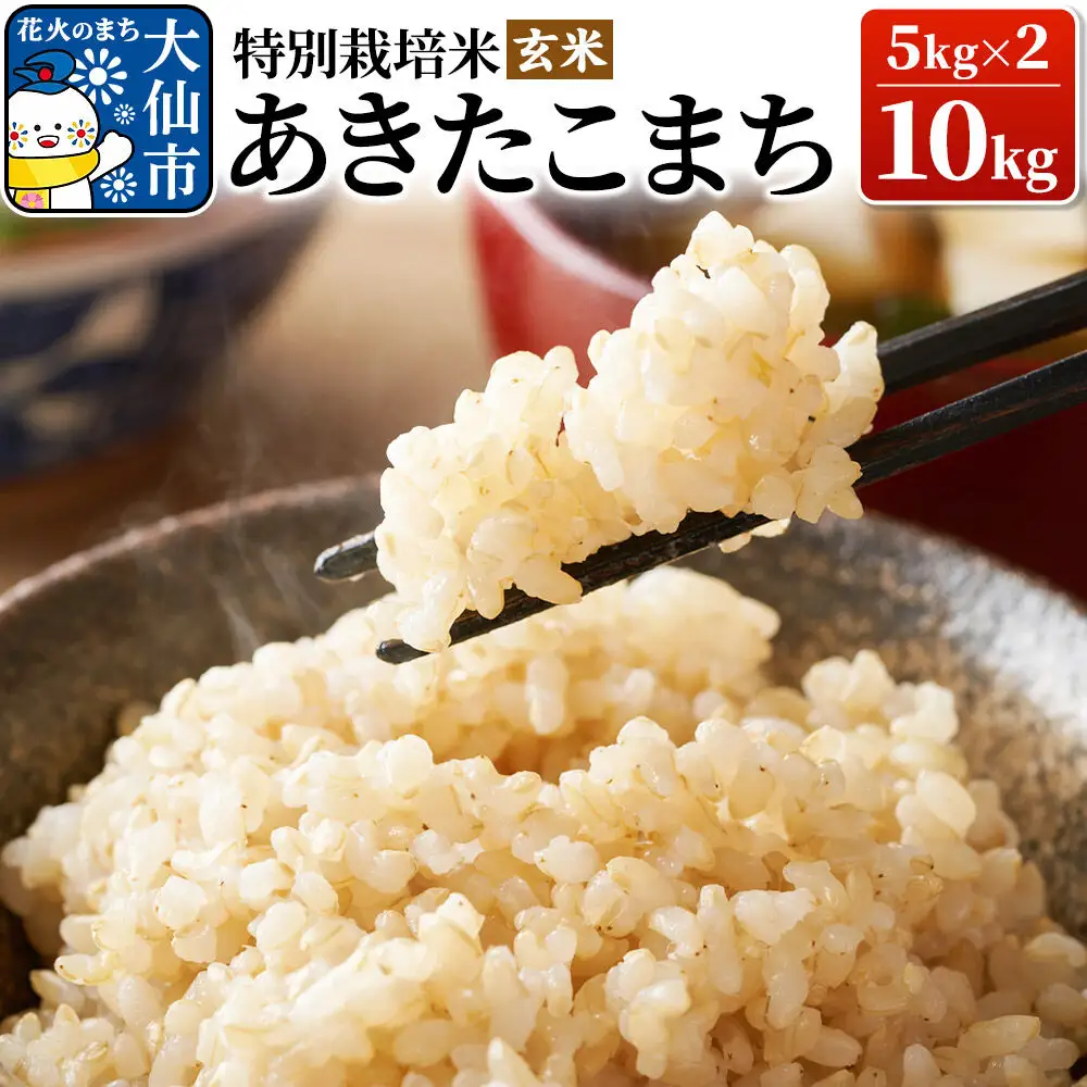 米 令和7年産【特別栽培米】あきたこまち【玄米】10kg（5kg×2）