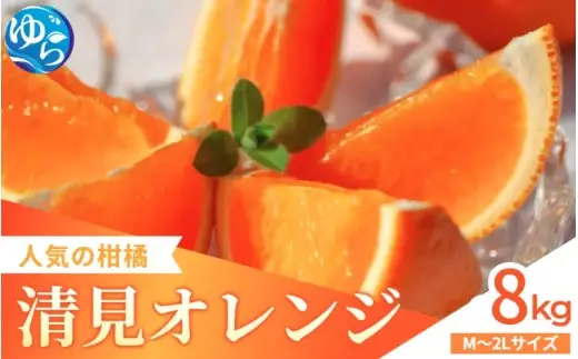 家庭用 清見オレンジ 8kg / 清見 みかん 晩柑 柑橘  蜜柑 果物 食品 人気 送料無料 産地直送 和歌山県 由良町  ※2月下旬～3月下旬頃に順次発送予定【kzmn011-c-8A】