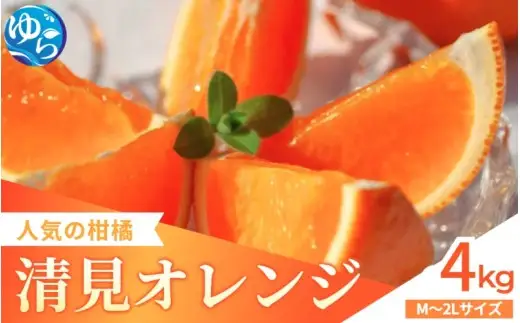 家庭用 清見オレンジ 4kg / 清見 みかん 晩柑 人気 柑橘  蜜柑 フルーツ 果物 くだもの 食品 人気 送料無料 産地直送 和歌山県 由良町  ※2月下旬～3月下旬頃に順次発送予定【kzmn011-c-4】