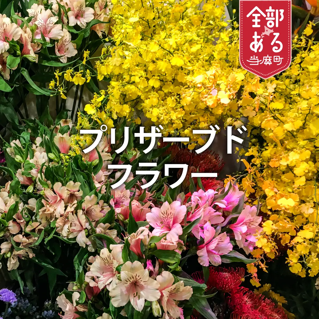 プリザーブドフラワー 大サイズ 花工房比呂 北海道 当麻町 お花 花 バラ フラワーアレンジメント 誕生日 結婚祝い 新築祝い 記念日【H-005】