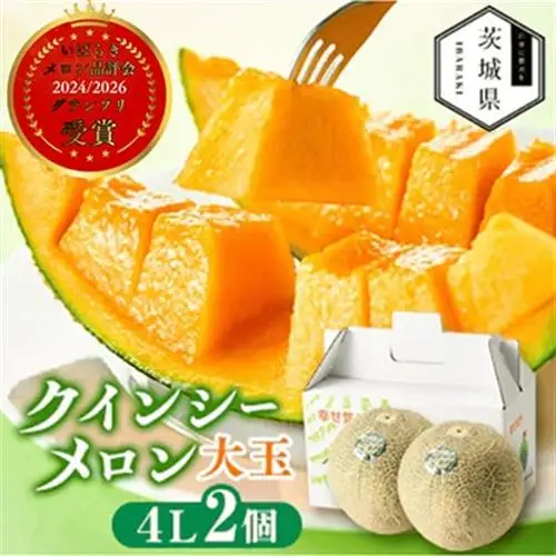 【先行受付】令和9年5月順次発送 茨城県鉾田市 山一ファーム クインシーメロン 大玉4L～5L・2玉_クインシー メロン 先行受付 鉾田市_【配送不可地域：離島・沖縄県】【1590731】