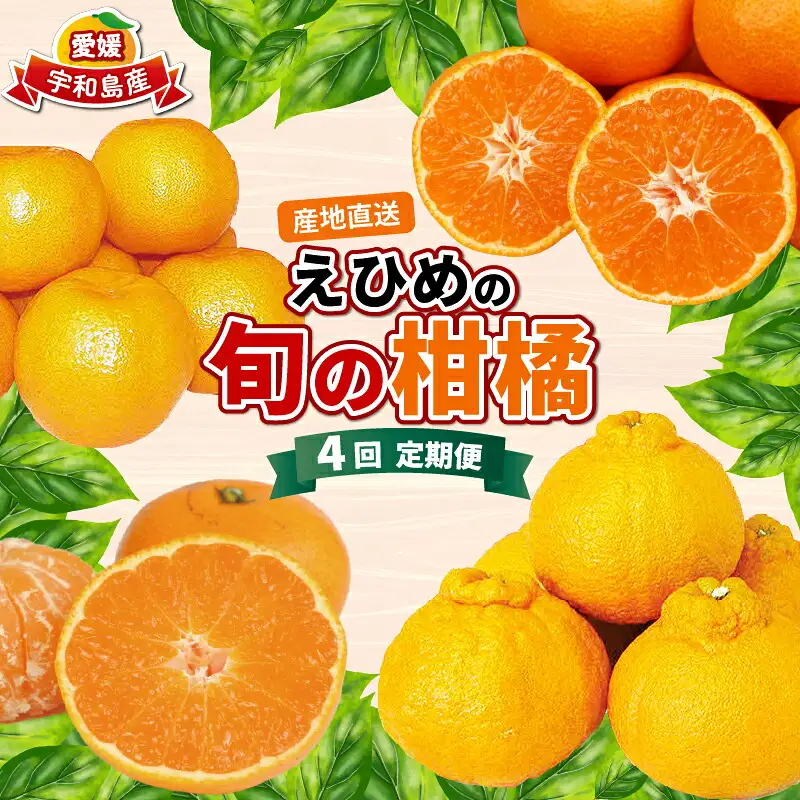 えひめの旬の柑橘 産地直送 4回 定期便 JA  定期便 B080-009011