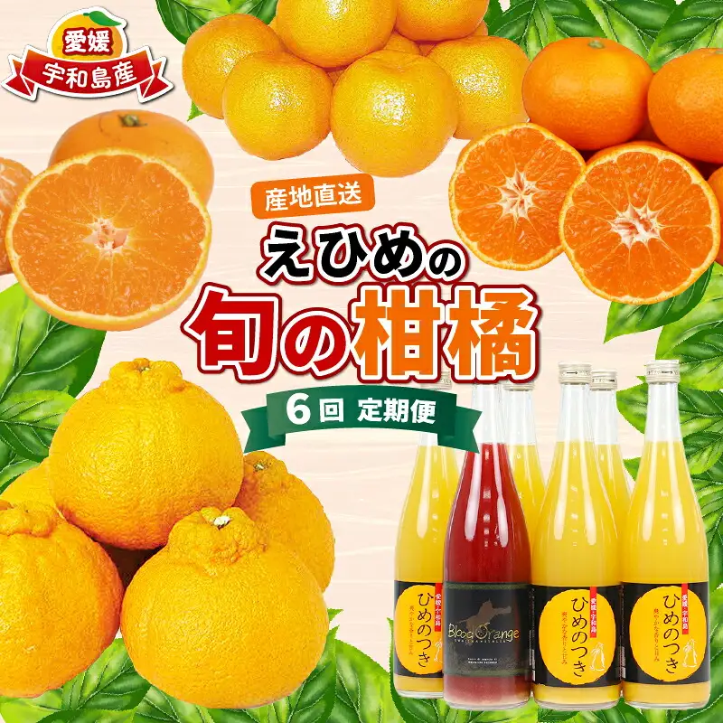 えひめの旬の柑橘 6回 みかん定期便 JA みかん定期便 B120-009012